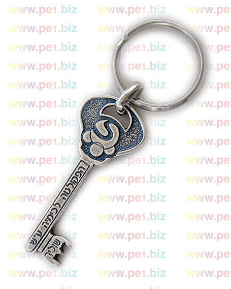 מחזיק מפתחות מפתח להצלחה,שולי