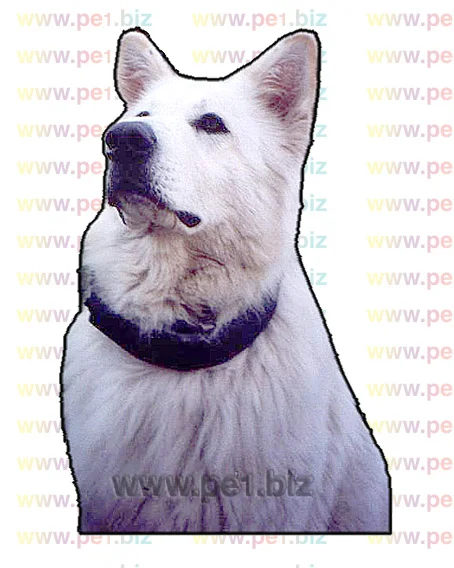 מחזיק מפתחות צורני תמונה