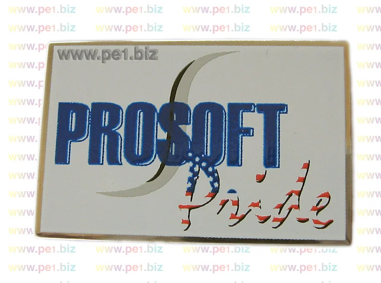 סיכת דש מודפסת רוזה - תמונה 2