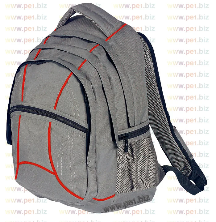 תיק גב אורטופדי,פנחס